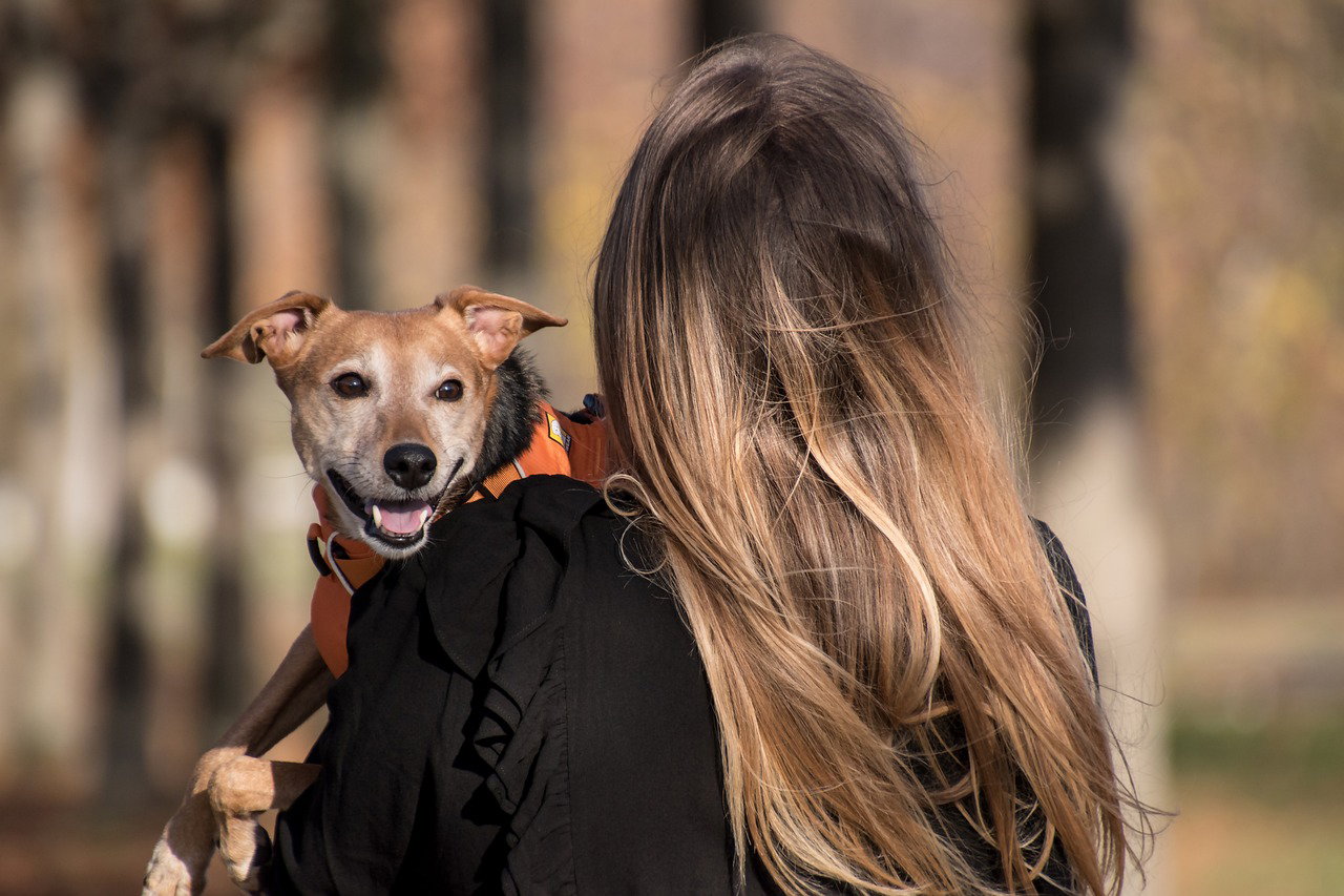 dog-5753302-1280.jpg