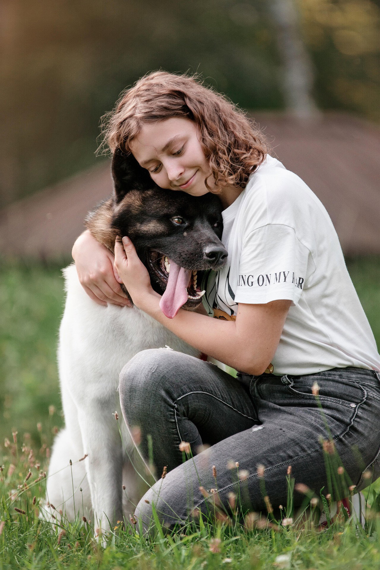 dog-5964181-1920.jpg